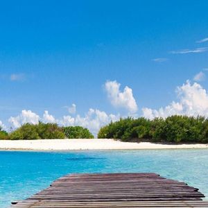 Meet your Posher, Wafa